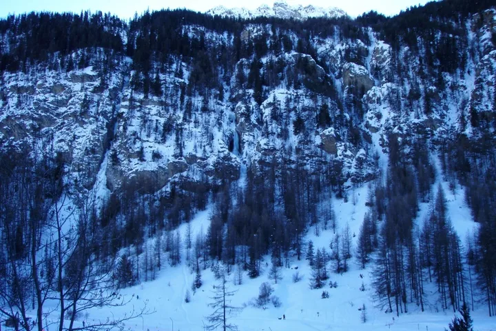 Gallery image
