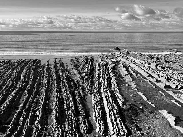 Miscellaneous category winner, 2025 photographic competition